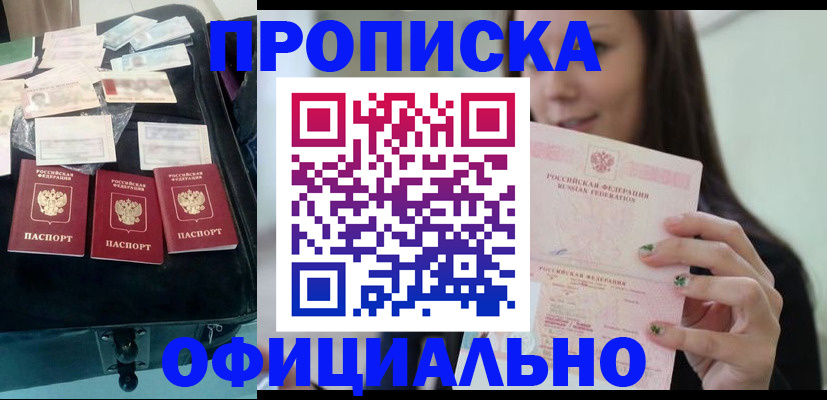 прописка законно в Мытищах